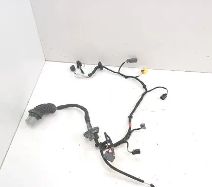 Bentley Flying Spur Front door wiring loom 4W1971120C