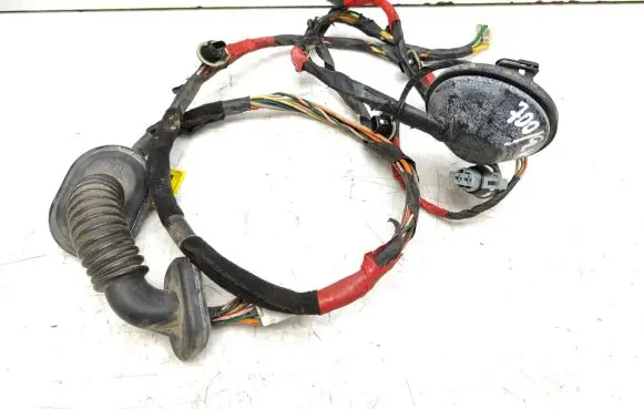 Hyundai Sonata Rear door wiring loom 916503K020