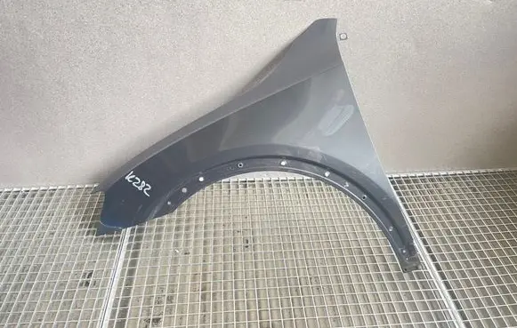 Fender