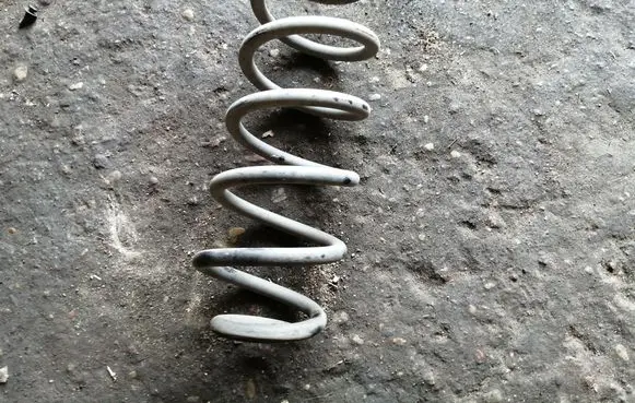 Rear coil spring