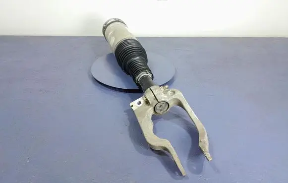 Land Rover Range Rover Sport L320 Front shock absorber/damper DPLA-3C286-CG