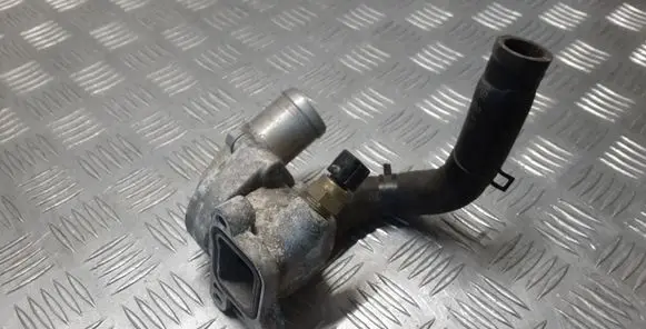 Thermostat/thermostat housing
