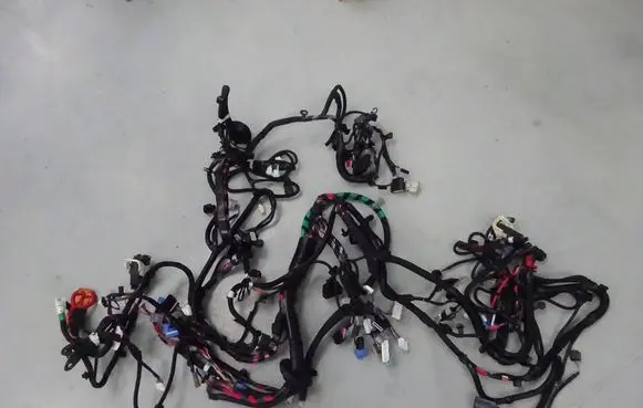 Tesla Model X Other wiring loom 107244702A