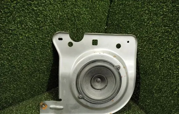 Front door speaker