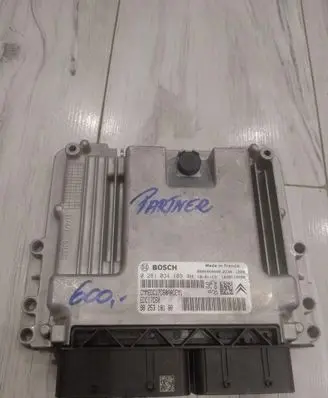 Engine control unit/module ECU