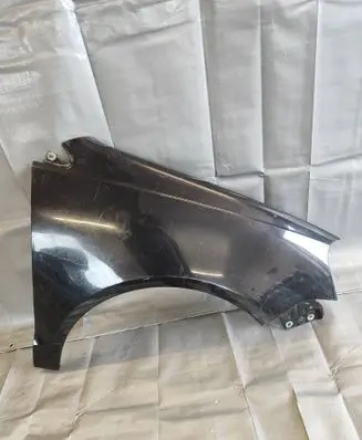 Volkswagen Polo IV 9N3 Fender 
