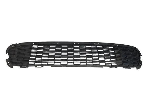 Mini One - Cooper Coupe R56 Front bumper lower grill 7188607 16614910