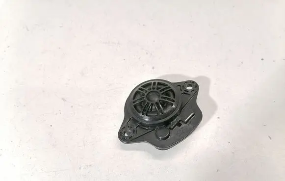 Tesla Model 3 Panel speaker 109873700