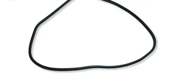 Honda CR-V Rear door rubber seal (on body) 