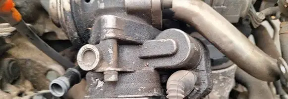 Mitsubishi Grandis Throttle valve