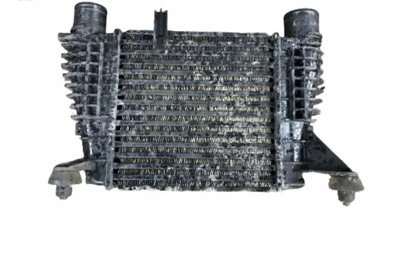 Nissan Note (E11) Intercooler radiator 144619U20A