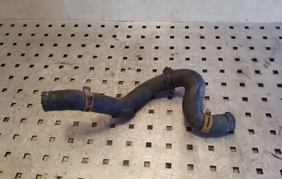 Renault Scenic I Engine coolant pipe/hose
