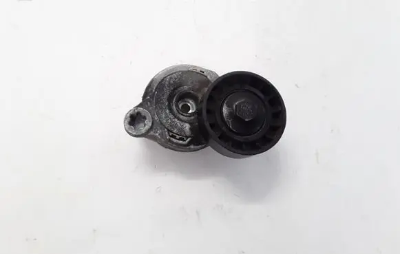Volvo XC60 Timing belt/chain tensioner 31258153