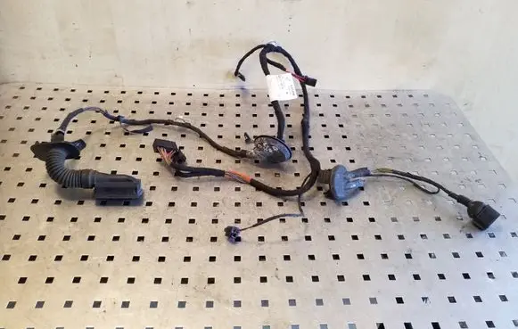 Rear door wiring loom
