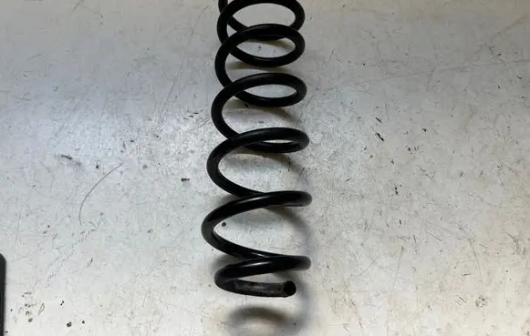 Dacia Sandero II Rear coil spring