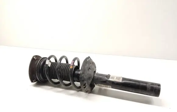 Volkswagen Tiguan Allspace Front shock absorber with coil spring 5QF413031BD