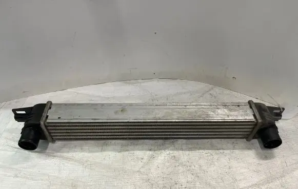 Peugeot Bipper Intercooler radiator 2002199 30204