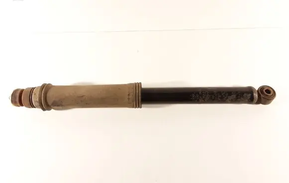 Hyundai Santa Fe Rear shock absorber/damper 5530526000