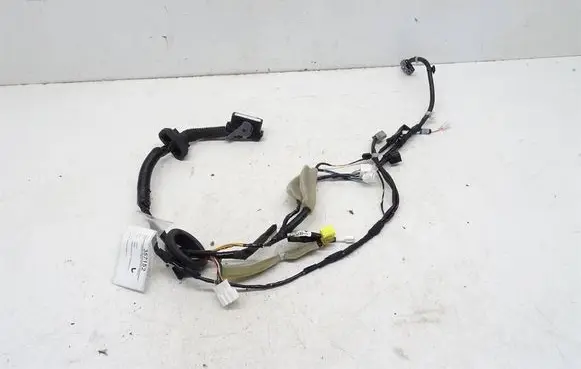 Front door wiring loom