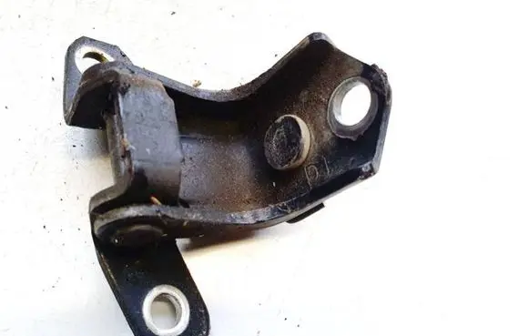 Rear door lower hinge