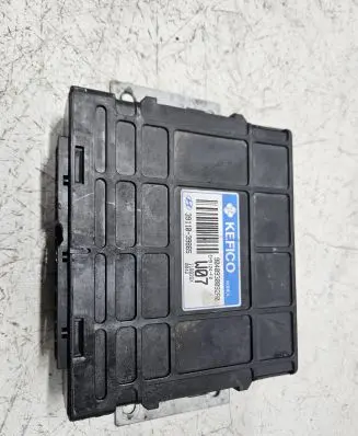 Hyundai Terracan Engine control unit/module ECU 3911039865