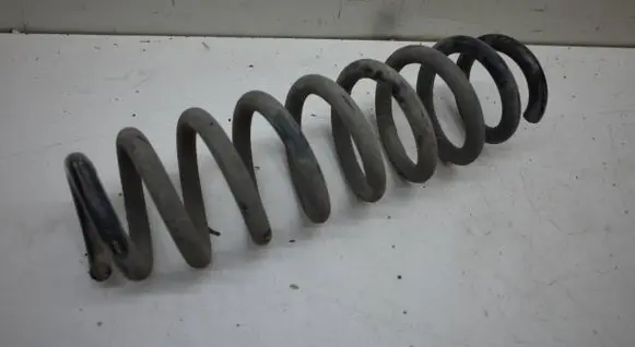 Rear coil spring