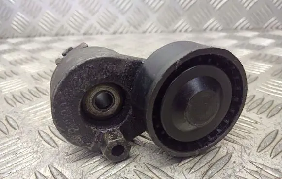 Renault Kangoo I Alternator belt tensioner pulley 8200048486