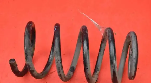Hyundai Santa Fe Rear coil spring