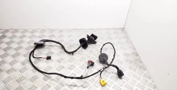 Audi TT TTS Mk2 Front door wiring loom 8J0971029P