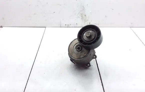 Fiat Doblo Generator/alternator belt tensioner 55190813