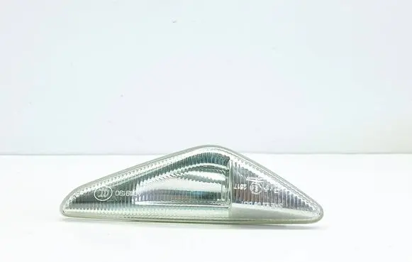 BMW X5 E70 Front fender indicator light 7171007
