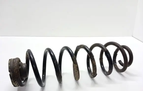 Skoda Roomster (5J) Rear coil spring