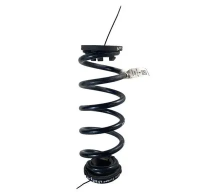Ford Escape IV Rear coil spring LX615560NAD
