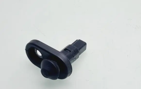 Toyota RAV 4 (XA30) Front door sensor 