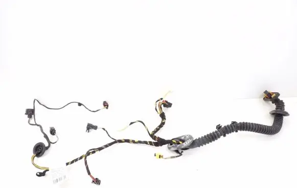 Front door wiring loom
