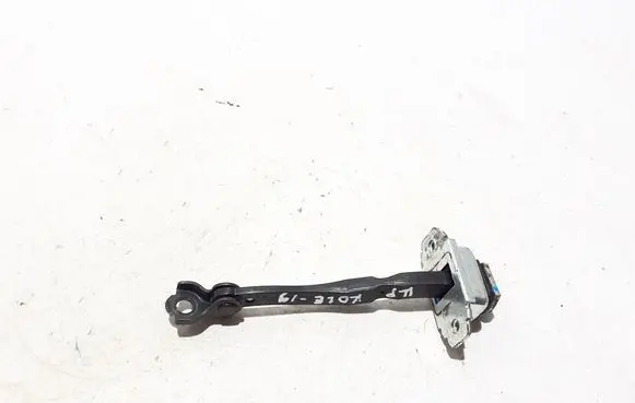 Renault Koleos II Front door check strap stopper 804304684R