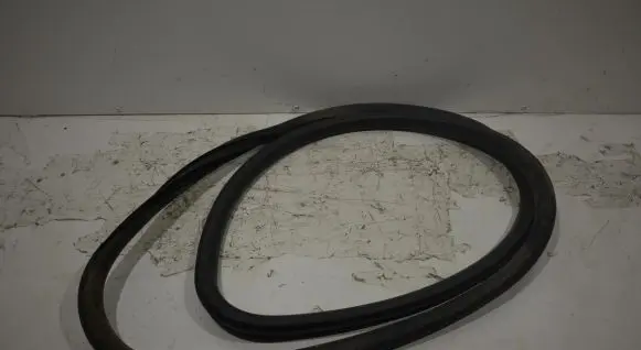 Opel Insignia A Front door rubber seal