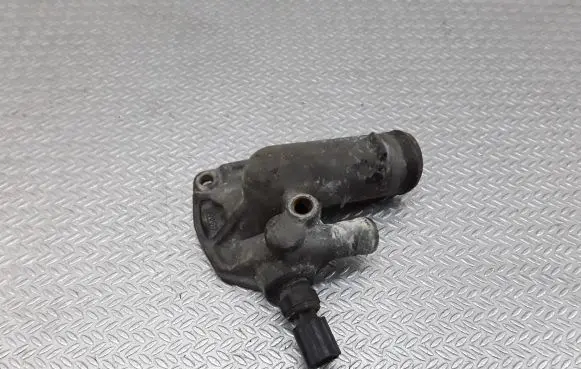 Thermostat/thermostat housing