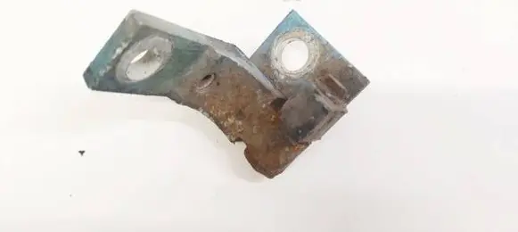 Fiat Punto (188) Rear door lower hinge