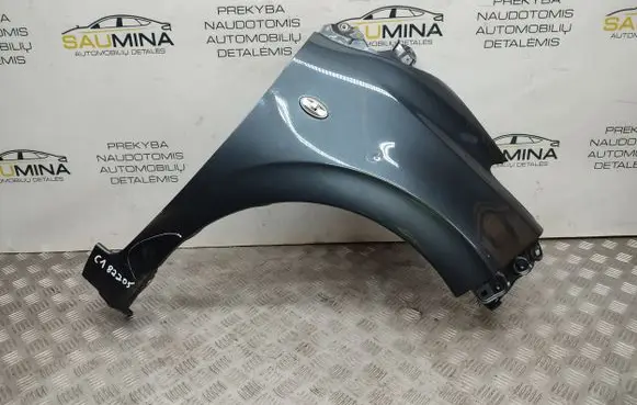Citroen C1 Fender