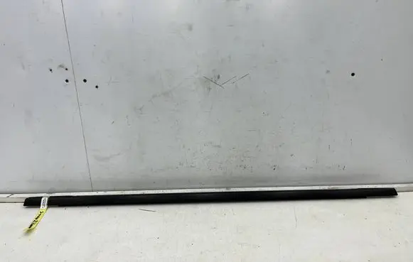 Rear door glass trim molding