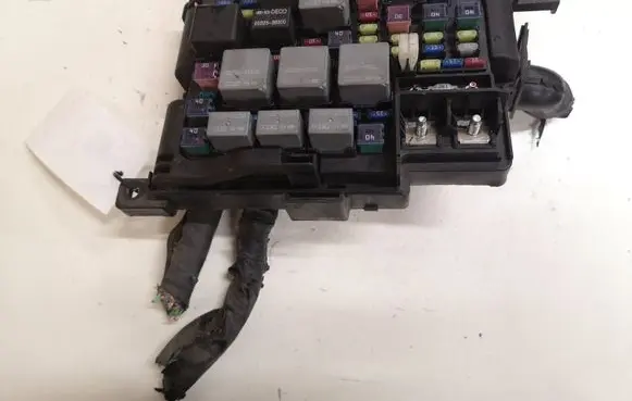 KIA Carens II Fuse module 919501D220 D22U069U0882