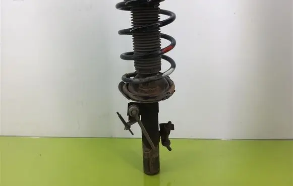 Ford C-MAX I Front shock absorber with coil spring 1919323
