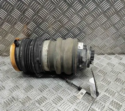 Audi E-tron GT Rear air suspension bag/shock absorber 9J1616025B