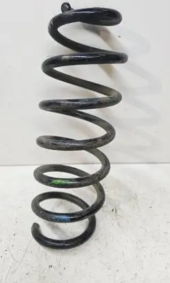 Nissan Qashqai Rear coil spring 550204EA1B