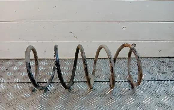 Front coil spring
