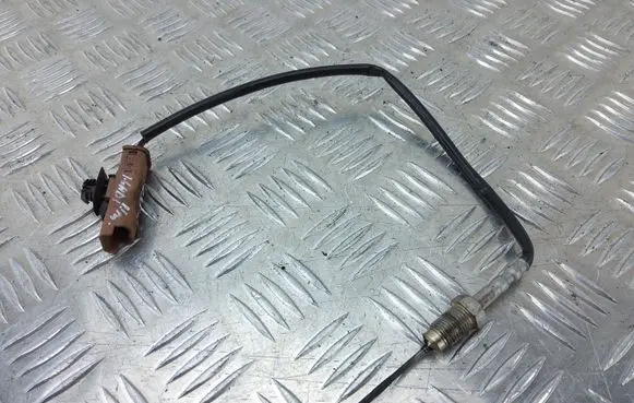 Peugeot 508 Exhaust gas temperature sensor 9665090280