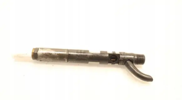 Renault Kangoo II Fuel injector 28237259