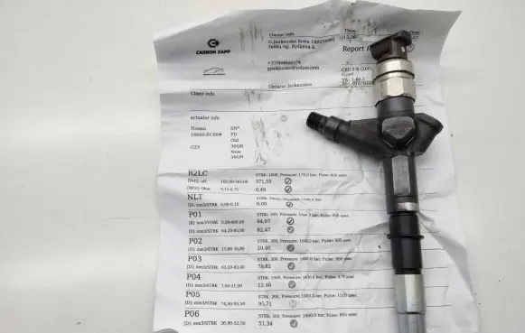 Nissan Navara D40 Fuel injector 16600ec00a