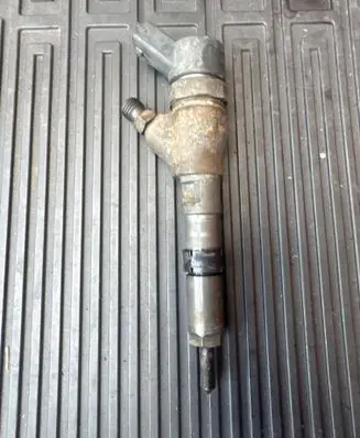 Peugeot Partner Fuel injector 0445110008